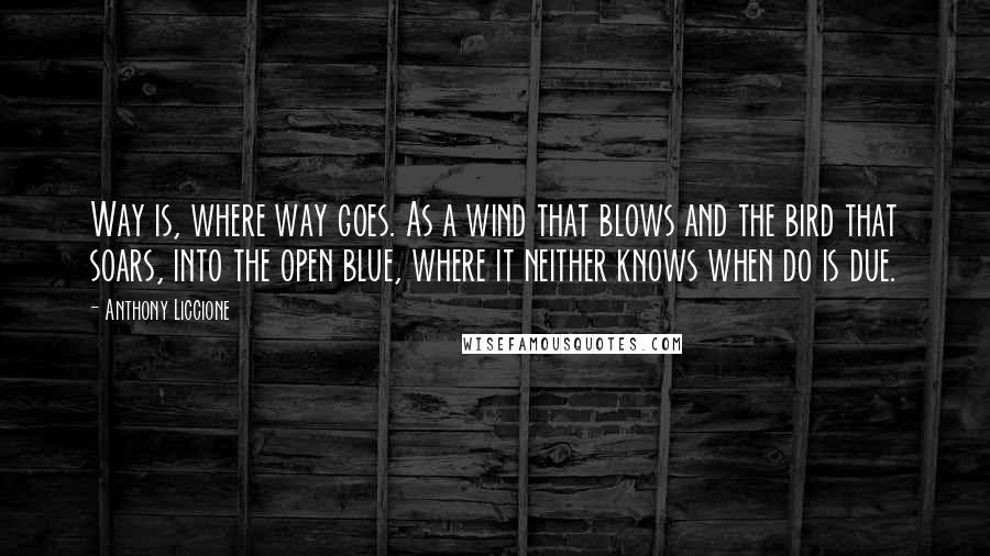 Anthony Liccione Quotes: Way is, where way goes. As a wind that blows and the bird that soars, into the open blue, where it neither knows when do is due.