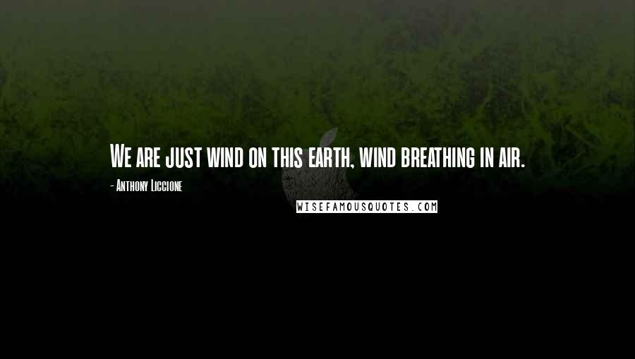 Anthony Liccione Quotes: We are just wind on this earth, wind breathing in air.