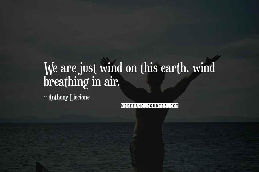 Anthony Liccione Quotes: We are just wind on this earth, wind breathing in air.