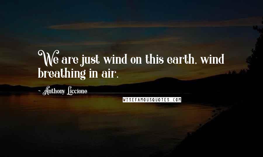 Anthony Liccione Quotes: We are just wind on this earth, wind breathing in air.