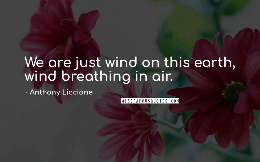 Anthony Liccione Quotes: We are just wind on this earth, wind breathing in air.