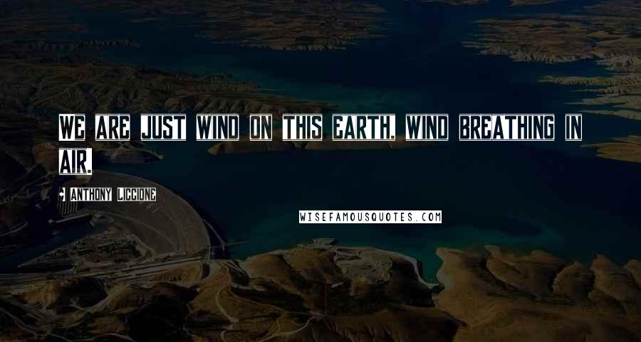 Anthony Liccione Quotes: We are just wind on this earth, wind breathing in air.