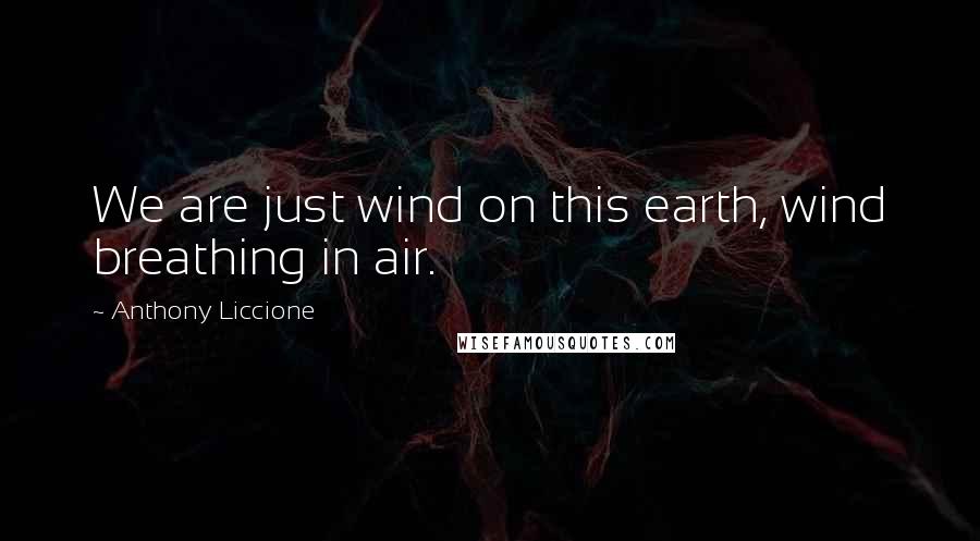 Anthony Liccione Quotes: We are just wind on this earth, wind breathing in air.