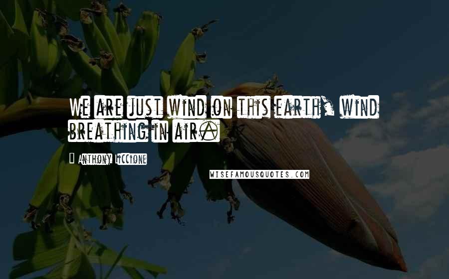 Anthony Liccione Quotes: We are just wind on this earth, wind breathing in air.