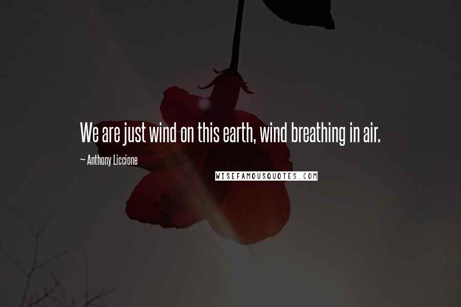 Anthony Liccione Quotes: We are just wind on this earth, wind breathing in air.