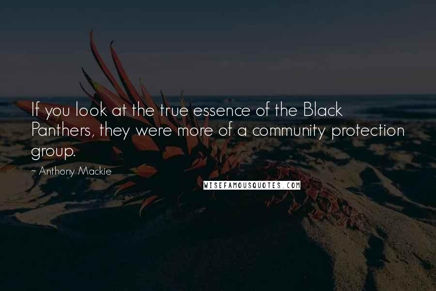 Anthony Mackie Quotes: If you look at the true essence of the Black Panthers, they were more of a community protection group.