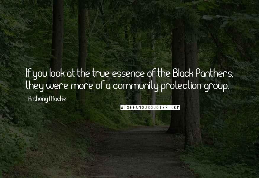 Anthony Mackie Quotes: If you look at the true essence of the Black Panthers, they were more of a community protection group.