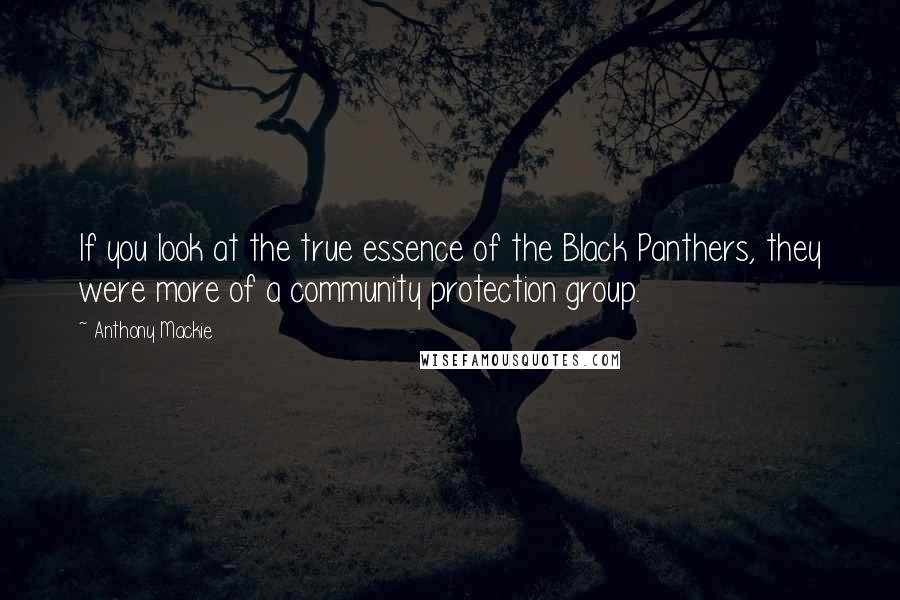 Anthony Mackie Quotes: If you look at the true essence of the Black Panthers, they were more of a community protection group.