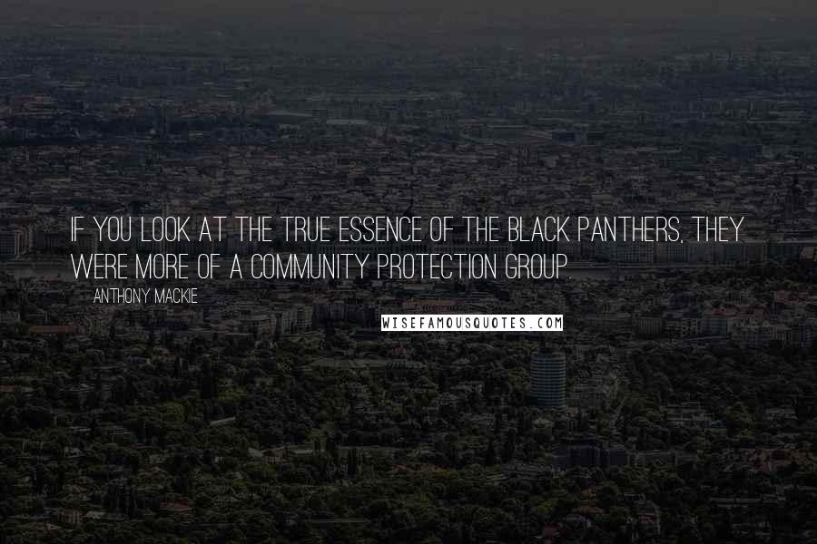 Anthony Mackie Quotes: If you look at the true essence of the Black Panthers, they were more of a community protection group.