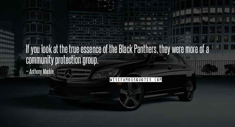 Anthony Mackie Quotes: If you look at the true essence of the Black Panthers, they were more of a community protection group.