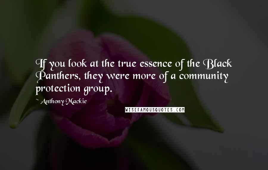 Anthony Mackie Quotes: If you look at the true essence of the Black Panthers, they were more of a community protection group.