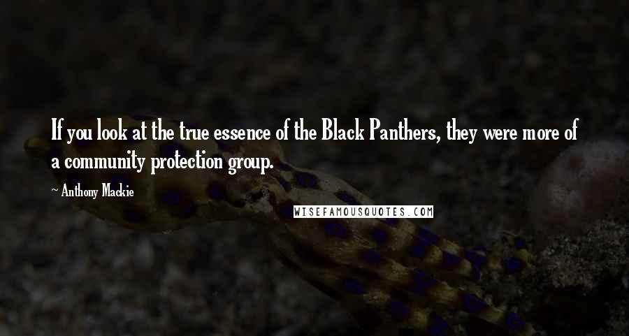 Anthony Mackie Quotes: If you look at the true essence of the Black Panthers, they were more of a community protection group.