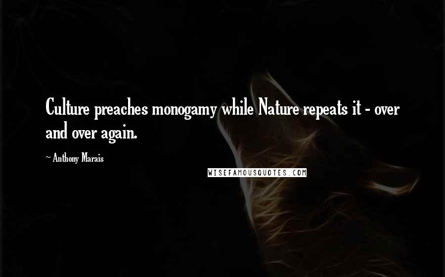 Anthony Marais Quotes: Culture preaches monogamy while Nature repeats it - over and over again.