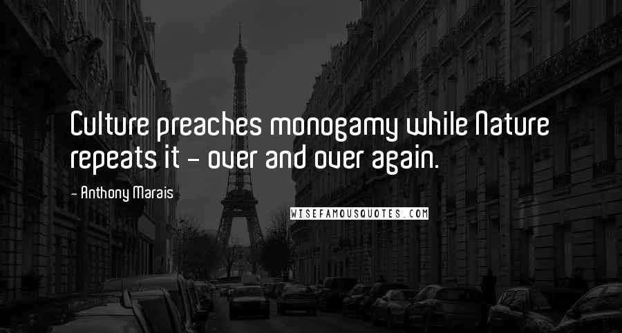 Anthony Marais Quotes: Culture preaches monogamy while Nature repeats it - over and over again.