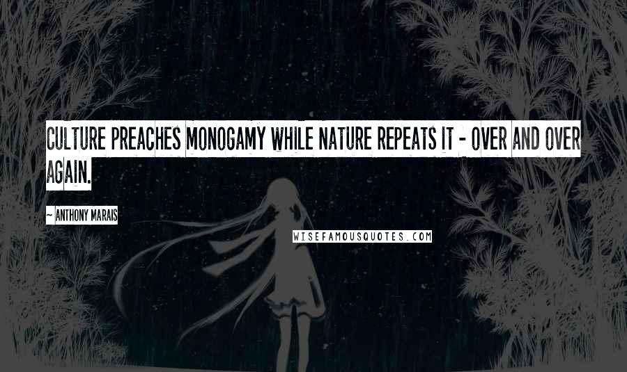 Anthony Marais Quotes: Culture preaches monogamy while Nature repeats it - over and over again.
