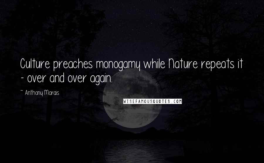 Anthony Marais Quotes: Culture preaches monogamy while Nature repeats it - over and over again.