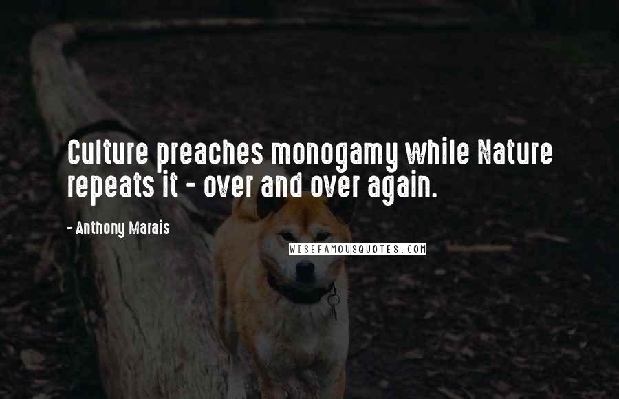 Anthony Marais Quotes: Culture preaches monogamy while Nature repeats it - over and over again.