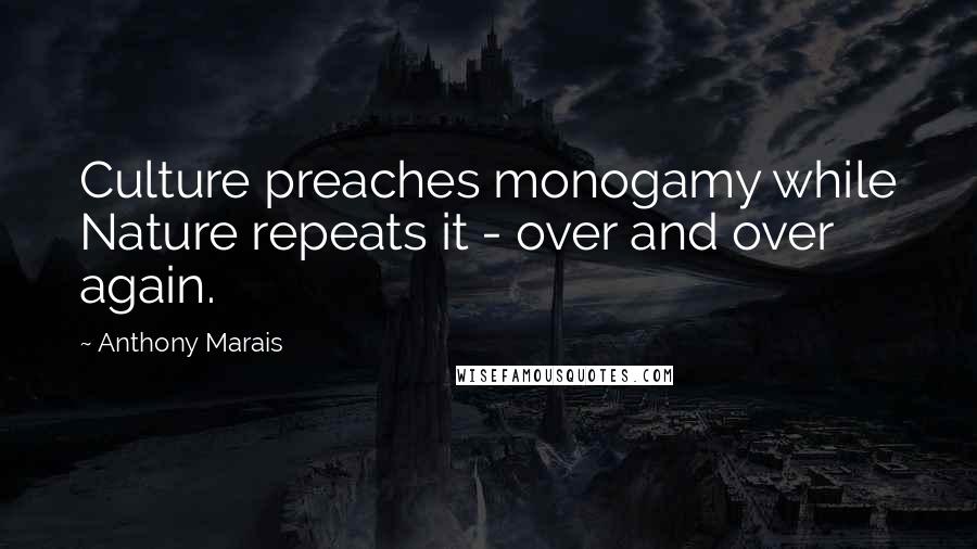 Anthony Marais Quotes: Culture preaches monogamy while Nature repeats it - over and over again.