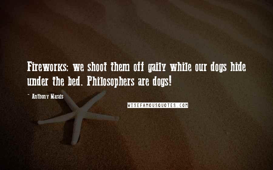 Anthony Marais Quotes: Fireworks: we shoot them off gaily while our dogs hide under the bed. Philosophers are dogs!