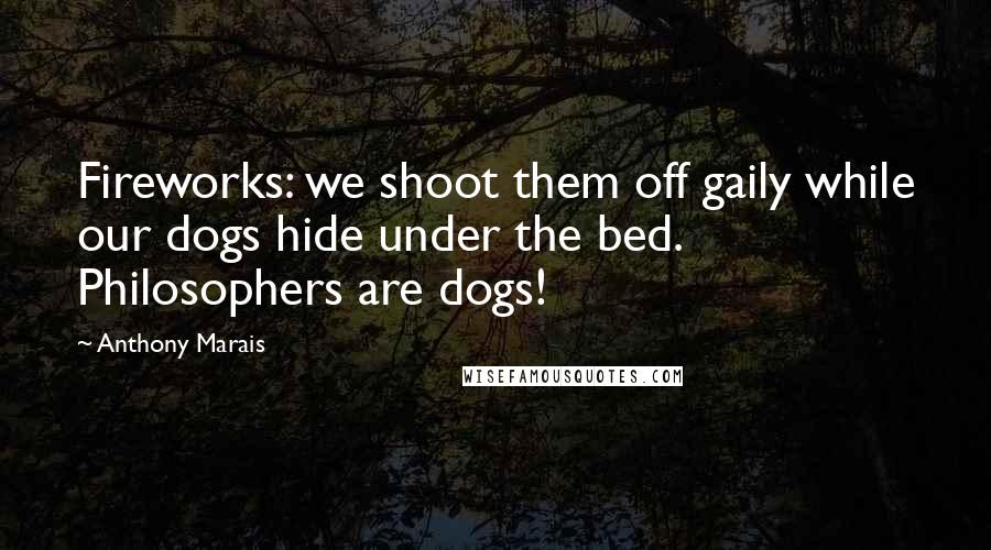 Anthony Marais Quotes: Fireworks: we shoot them off gaily while our dogs hide under the bed. Philosophers are dogs!