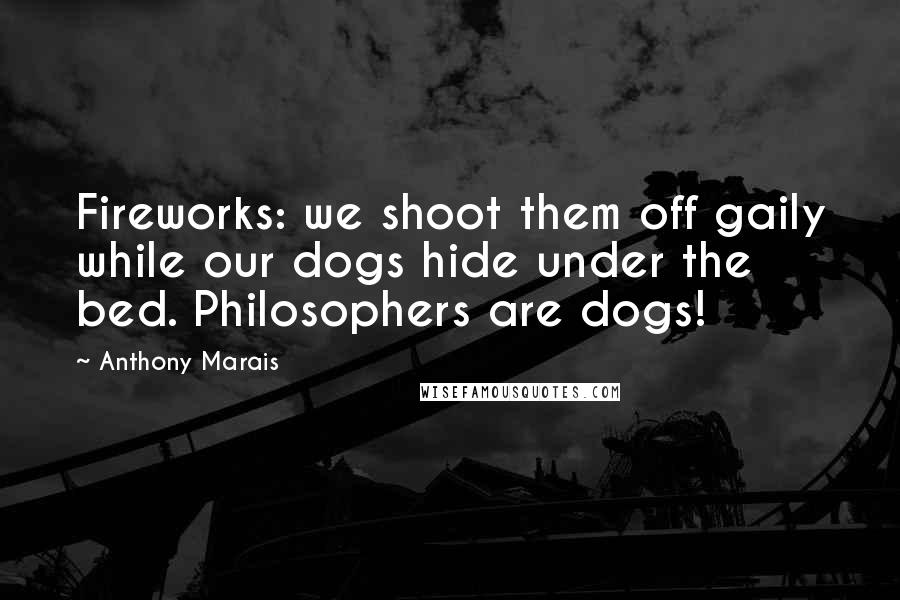 Anthony Marais Quotes: Fireworks: we shoot them off gaily while our dogs hide under the bed. Philosophers are dogs!