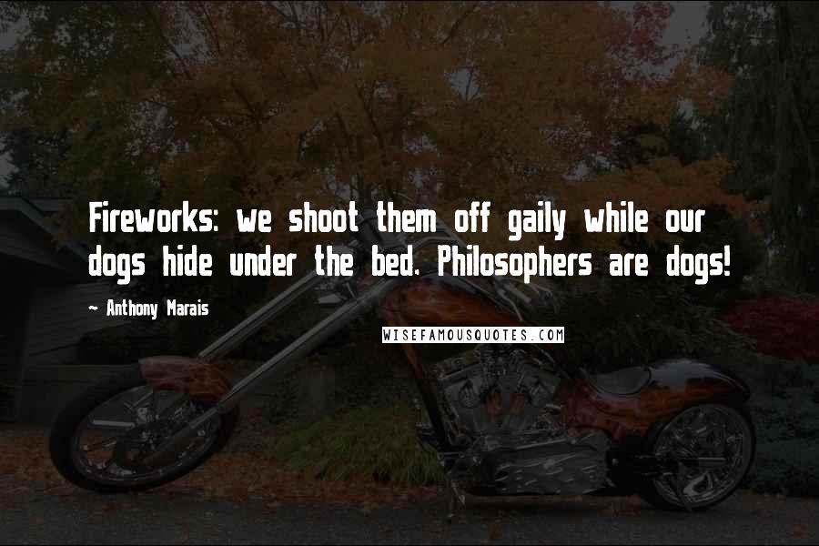 Anthony Marais Quotes: Fireworks: we shoot them off gaily while our dogs hide under the bed. Philosophers are dogs!