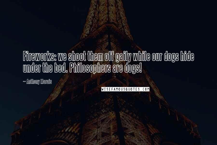 Anthony Marais Quotes: Fireworks: we shoot them off gaily while our dogs hide under the bed. Philosophers are dogs!