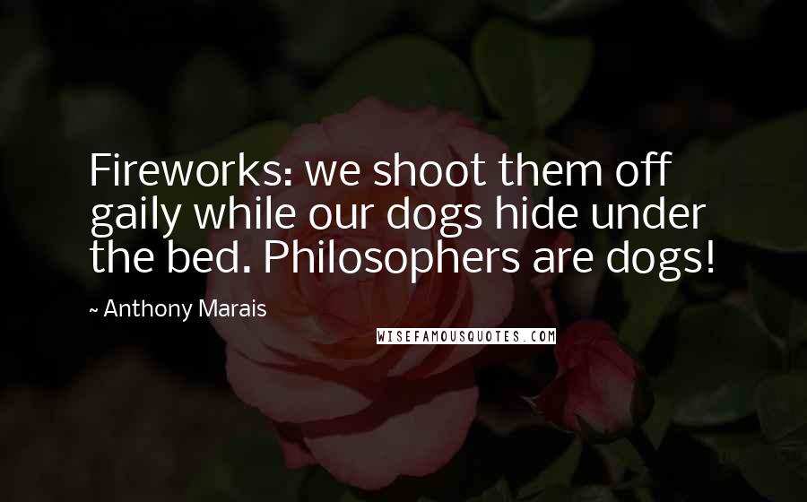 Anthony Marais Quotes: Fireworks: we shoot them off gaily while our dogs hide under the bed. Philosophers are dogs!