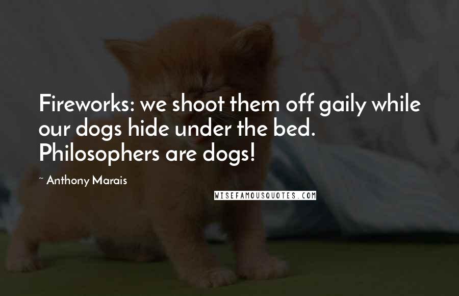 Anthony Marais Quotes: Fireworks: we shoot them off gaily while our dogs hide under the bed. Philosophers are dogs!