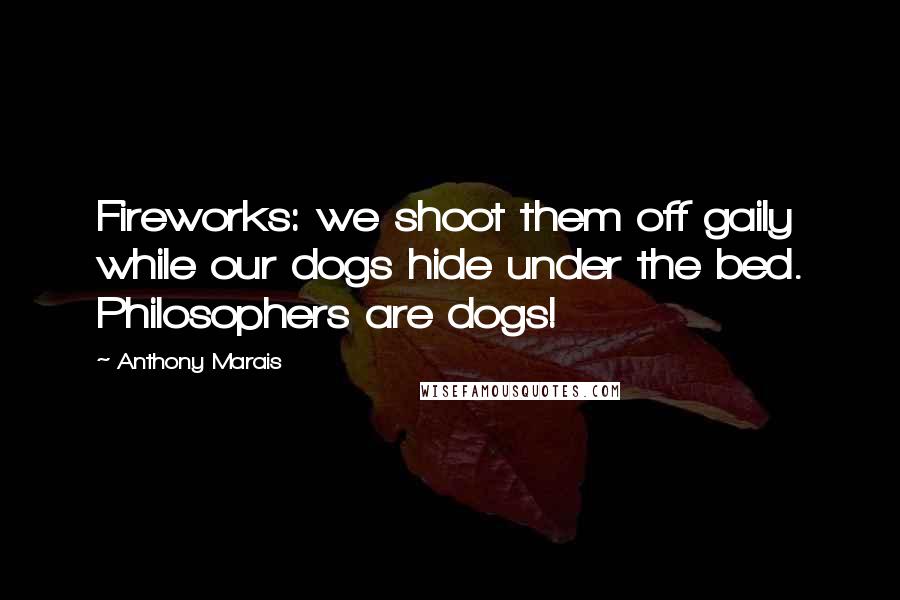 Anthony Marais Quotes: Fireworks: we shoot them off gaily while our dogs hide under the bed. Philosophers are dogs!