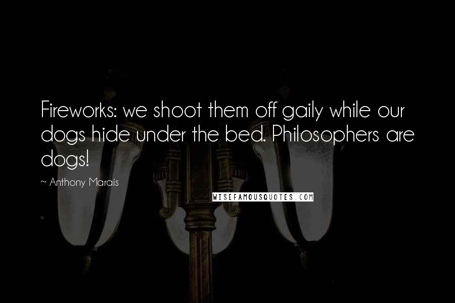 Anthony Marais Quotes: Fireworks: we shoot them off gaily while our dogs hide under the bed. Philosophers are dogs!