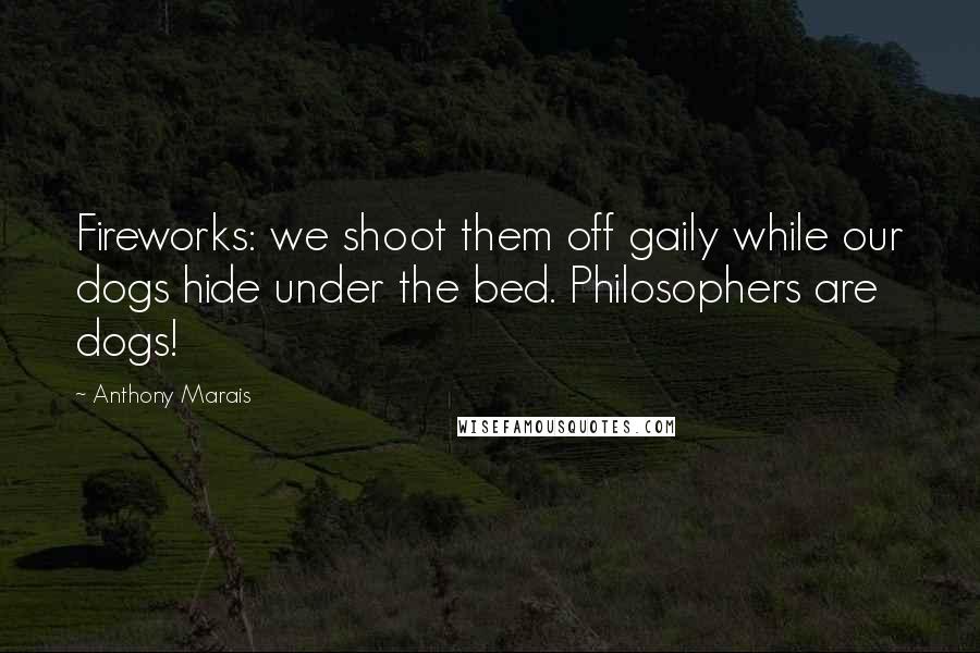 Anthony Marais Quotes: Fireworks: we shoot them off gaily while our dogs hide under the bed. Philosophers are dogs!