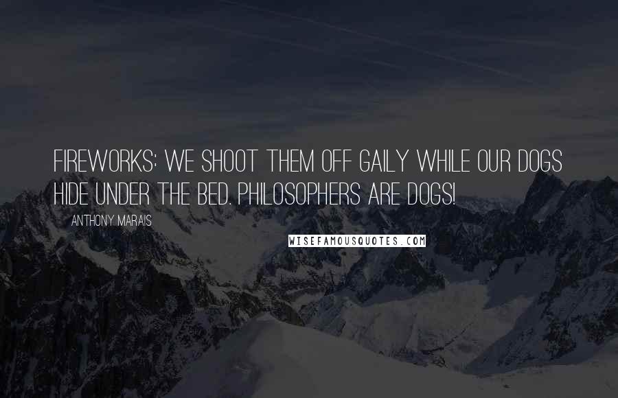 Anthony Marais Quotes: Fireworks: we shoot them off gaily while our dogs hide under the bed. Philosophers are dogs!