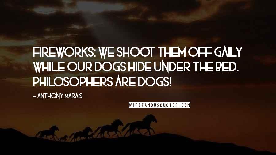 Anthony Marais Quotes: Fireworks: we shoot them off gaily while our dogs hide under the bed. Philosophers are dogs!