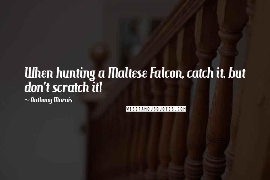 Anthony Marais Quotes: When hunting a Maltese Falcon, catch it, but don't scratch it!