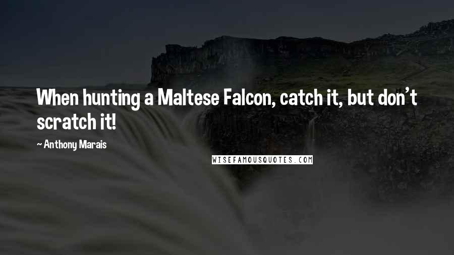 Anthony Marais Quotes: When hunting a Maltese Falcon, catch it, but don't scratch it!