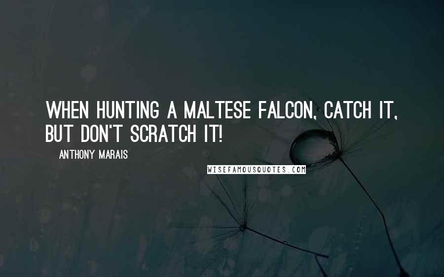 Anthony Marais Quotes: When hunting a Maltese Falcon, catch it, but don't scratch it!