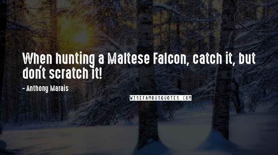 Anthony Marais Quotes: When hunting a Maltese Falcon, catch it, but don't scratch it!