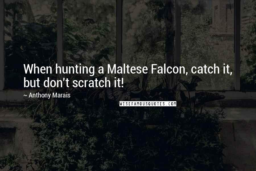 Anthony Marais Quotes: When hunting a Maltese Falcon, catch it, but don't scratch it!