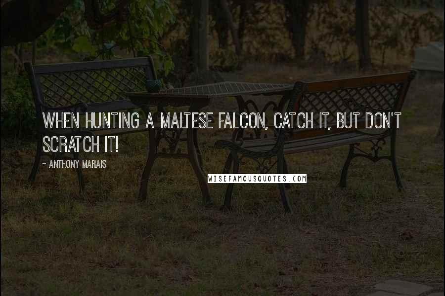 Anthony Marais Quotes: When hunting a Maltese Falcon, catch it, but don't scratch it!