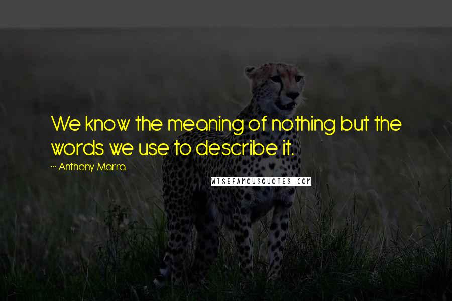 Anthony Marra Quotes: We know the meaning of nothing but the words we use to describe it.