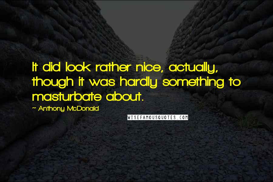 Anthony McDonald Quotes: It did look rather nice, actually, though it was hardly something to masturbate about.