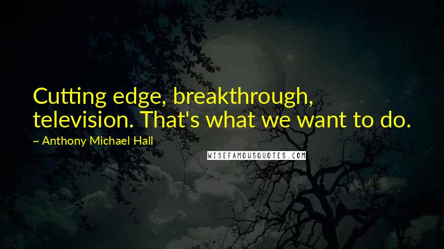 Anthony Michael Hall Quotes: Cutting edge, breakthrough, television. That's what we want to do.