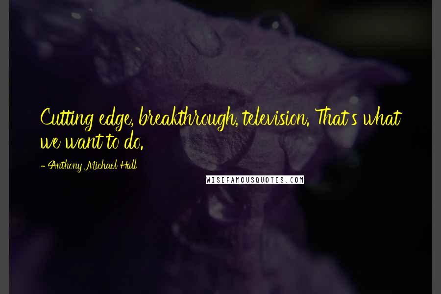 Anthony Michael Hall Quotes: Cutting edge, breakthrough, television. That's what we want to do.