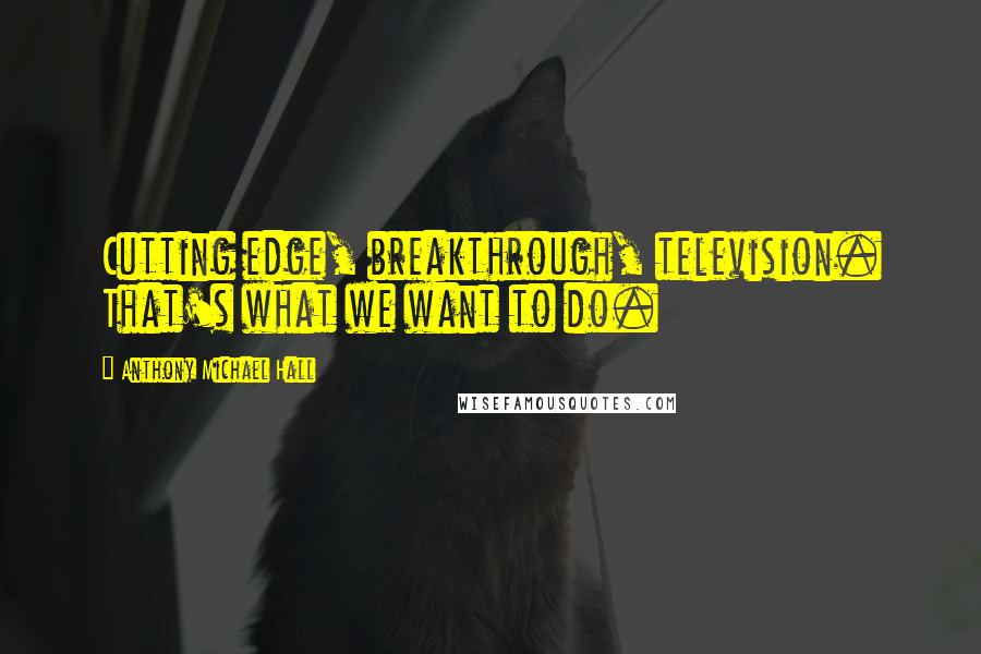 Anthony Michael Hall Quotes: Cutting edge, breakthrough, television. That's what we want to do.