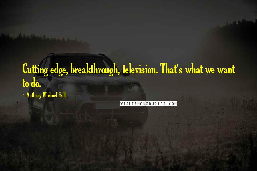 Anthony Michael Hall Quotes: Cutting edge, breakthrough, television. That's what we want to do.