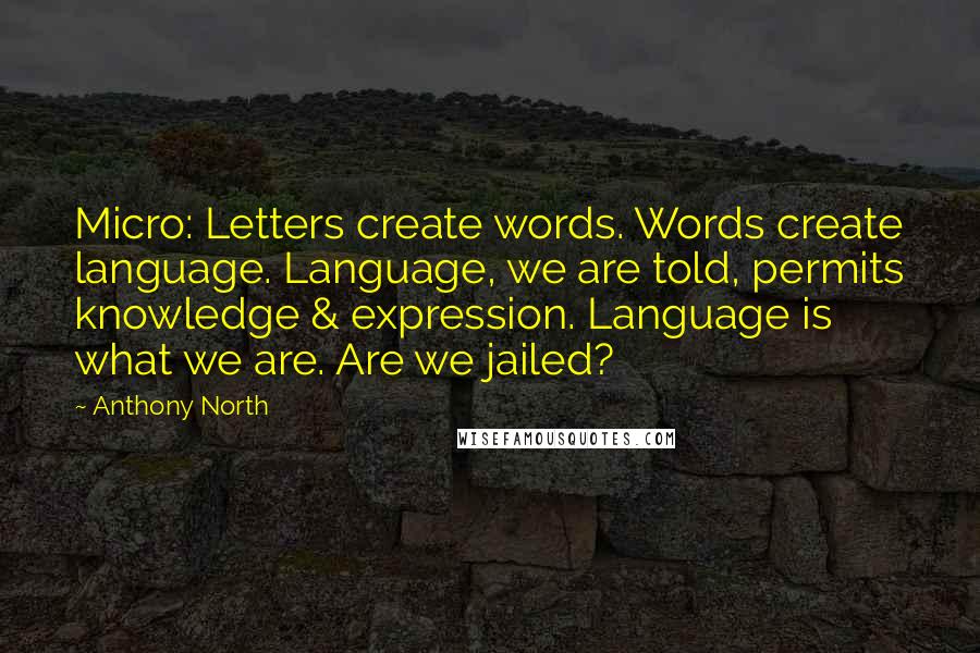 Anthony North Quotes: Micro: Letters create words. Words create language. Language, we are told, permits knowledge & expression. Language is what we are. Are we jailed?