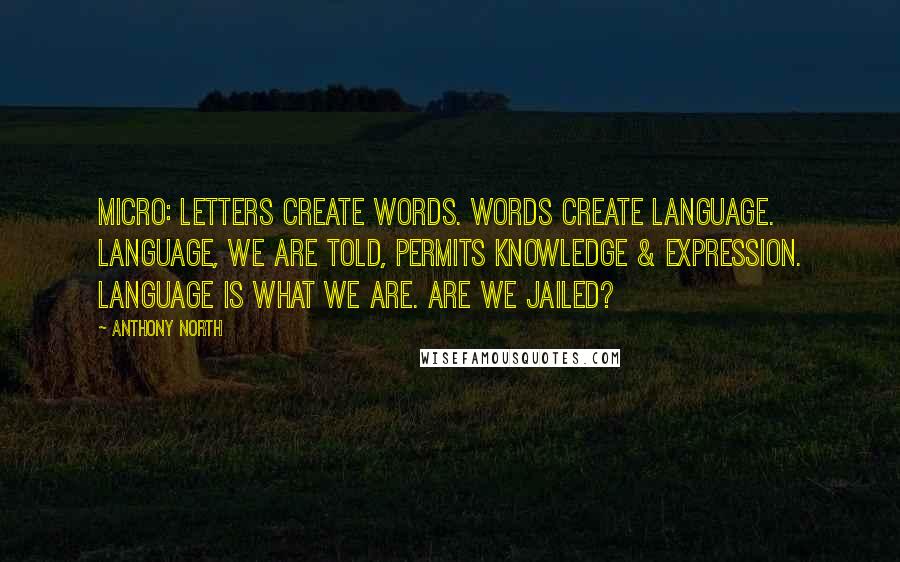 Anthony North Quotes: Micro: Letters create words. Words create language. Language, we are told, permits knowledge & expression. Language is what we are. Are we jailed?