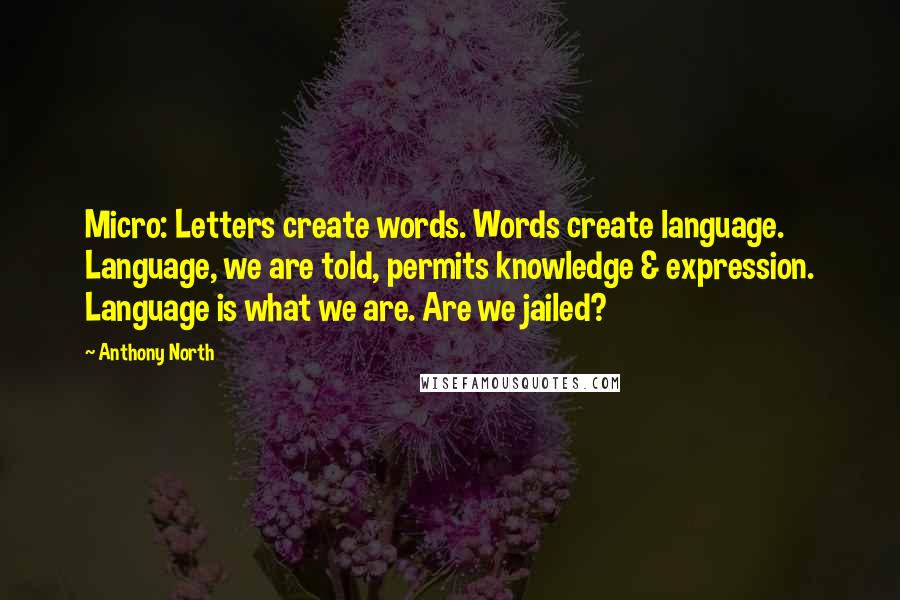 Anthony North Quotes: Micro: Letters create words. Words create language. Language, we are told, permits knowledge & expression. Language is what we are. Are we jailed?