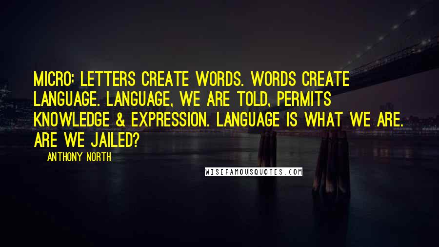 Anthony North Quotes: Micro: Letters create words. Words create language. Language, we are told, permits knowledge & expression. Language is what we are. Are we jailed?